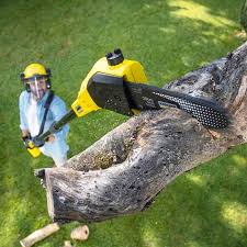 Best Lawn Watering Services  in Kouts, IN